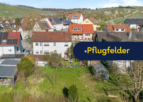 Immobilienportal |  Image Name  -  Image Alt 