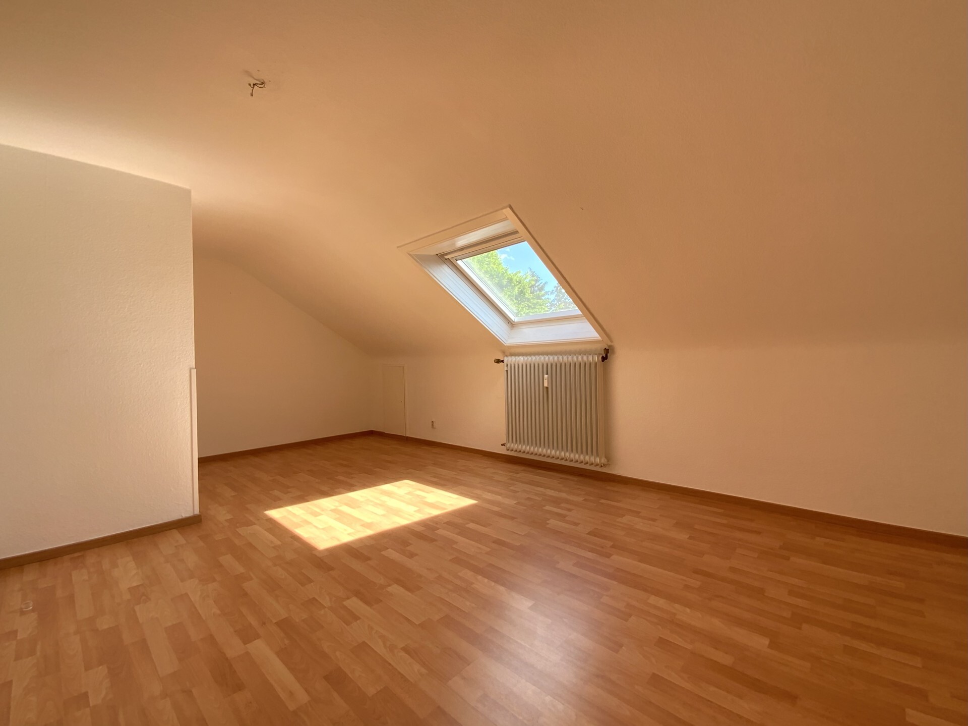 Estate Picture