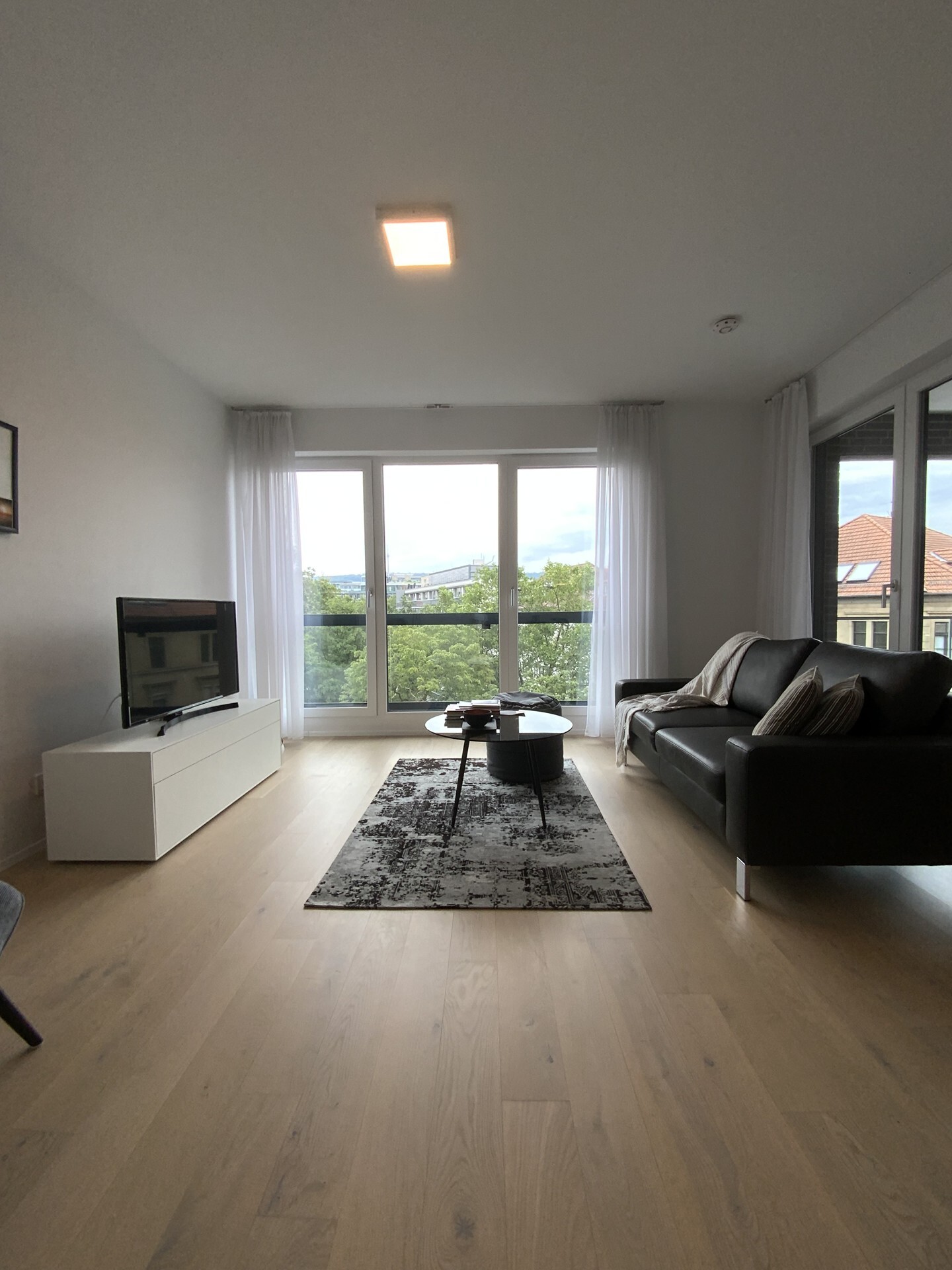 Estate Picture