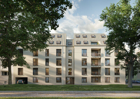 Homepage |  Image Name  -  Image Alt 