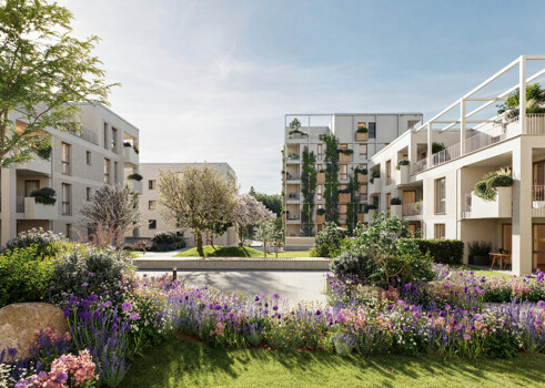 Homepage |  Image Name  -  Image Alt 