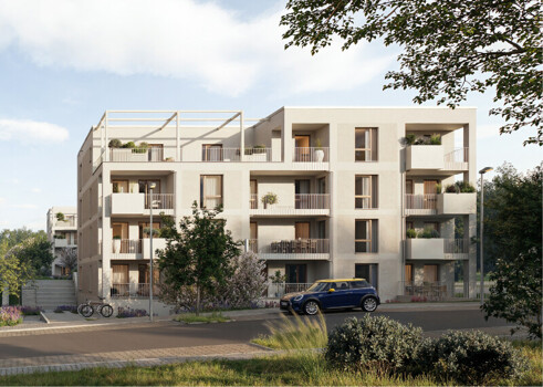 Homepage |  Image Name  -  Image Alt 