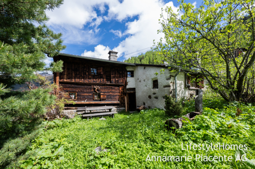 Garten Davos