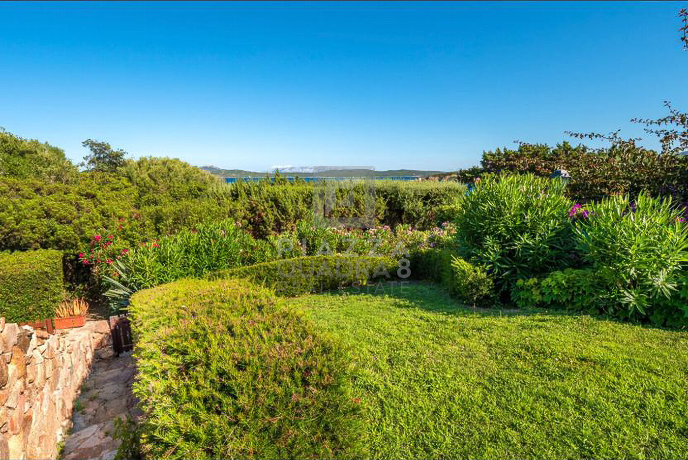 PHOTO-2021-06-07-08-18-50 4-Enhanced-SR