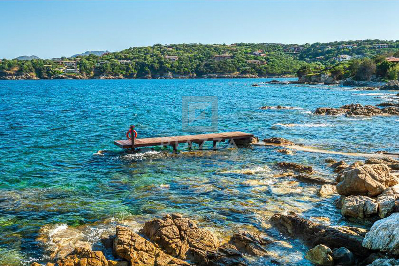 PHOTO-2021-06-07-08-18-51 2-Enhanced-SR