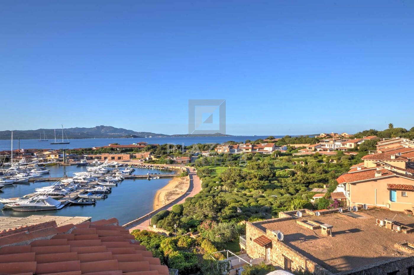 Vista