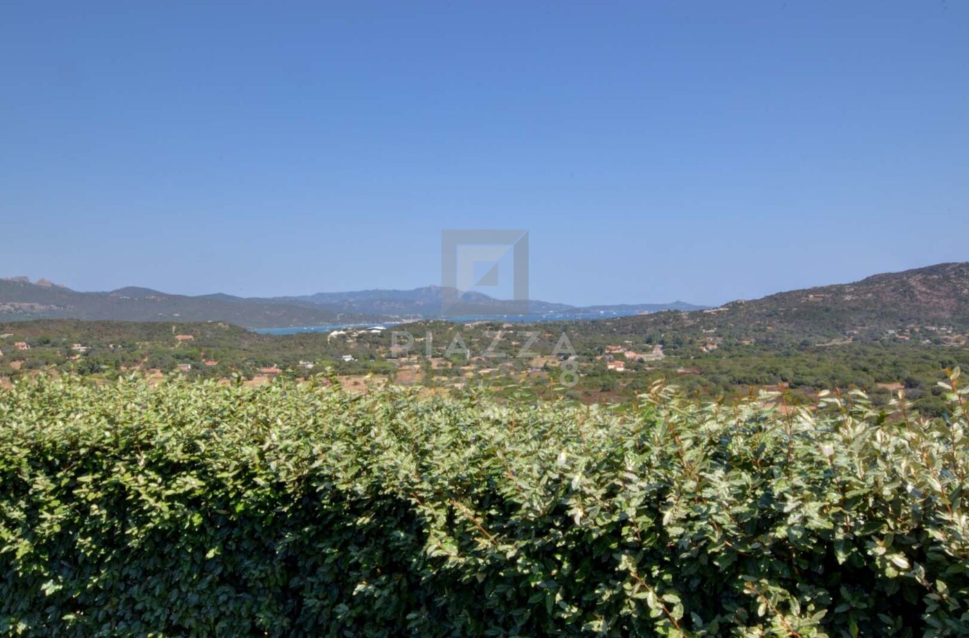 Vista