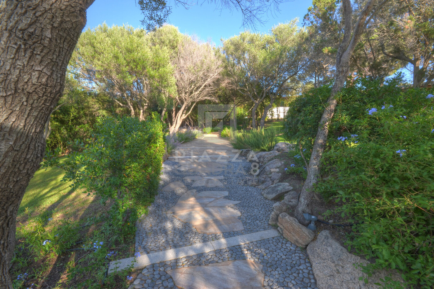 Vialetto ingresso