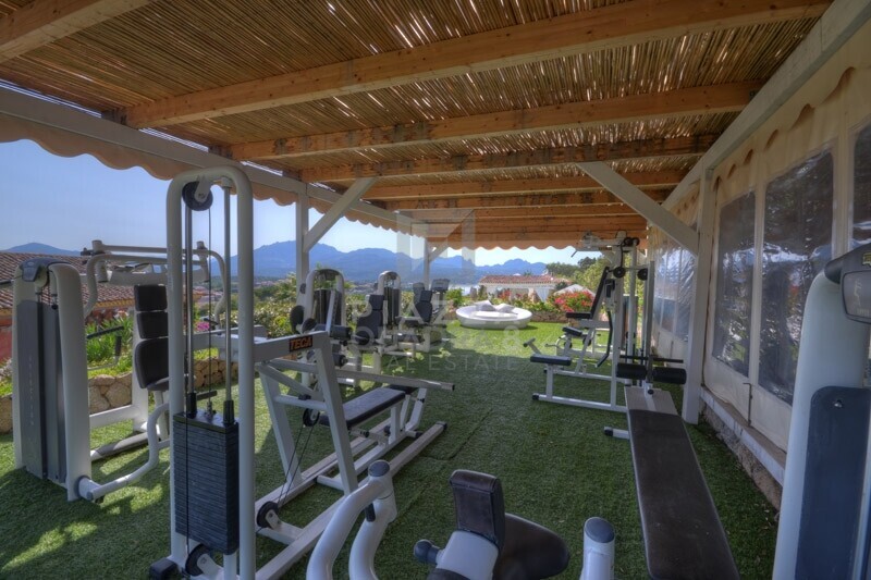 Palestra