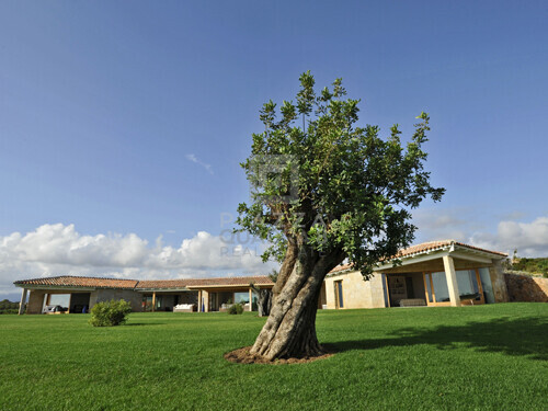 VillaMusica