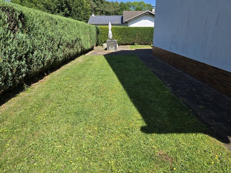 Grünfläche 1