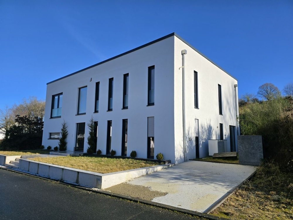 Vorderansicht 1