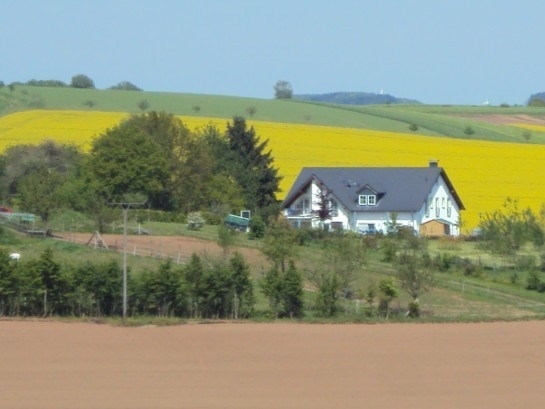 Fernsicht
