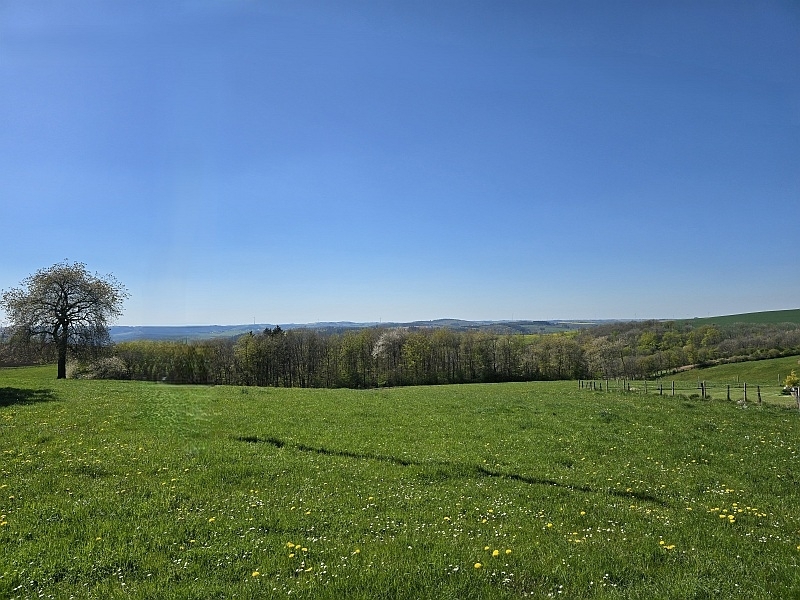 Fernsicht vor dem Wohnhaus 