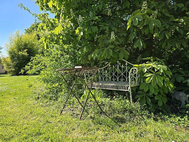 Impressionen Garten 5