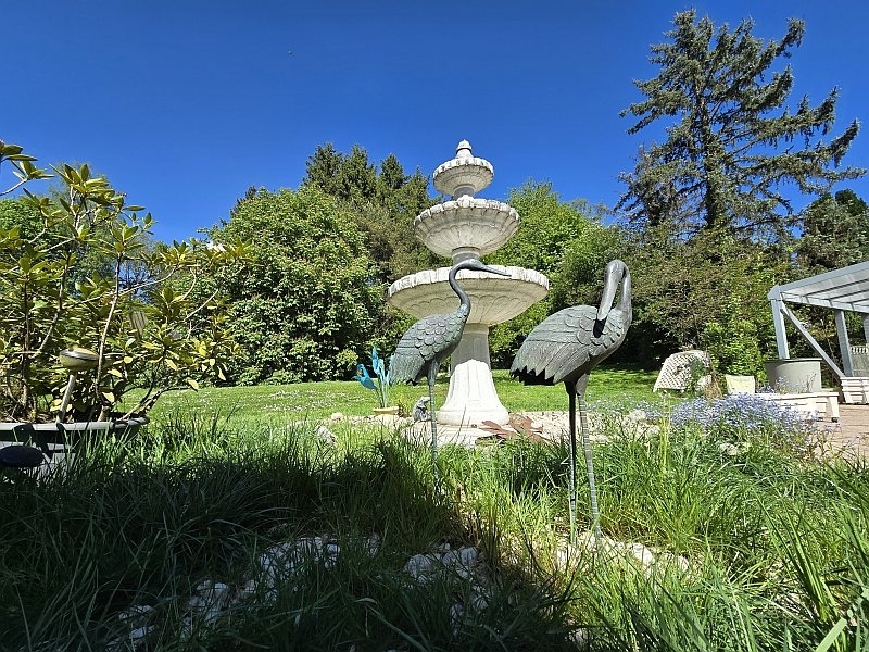 Impressionen Garten 2