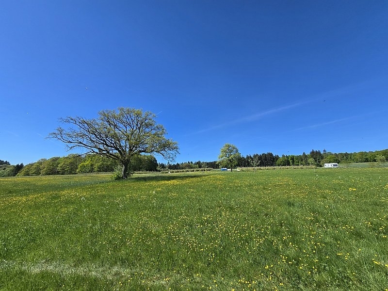 Aussicht hinten 2