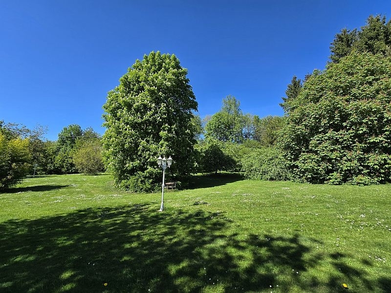 Impressionen Garten 3