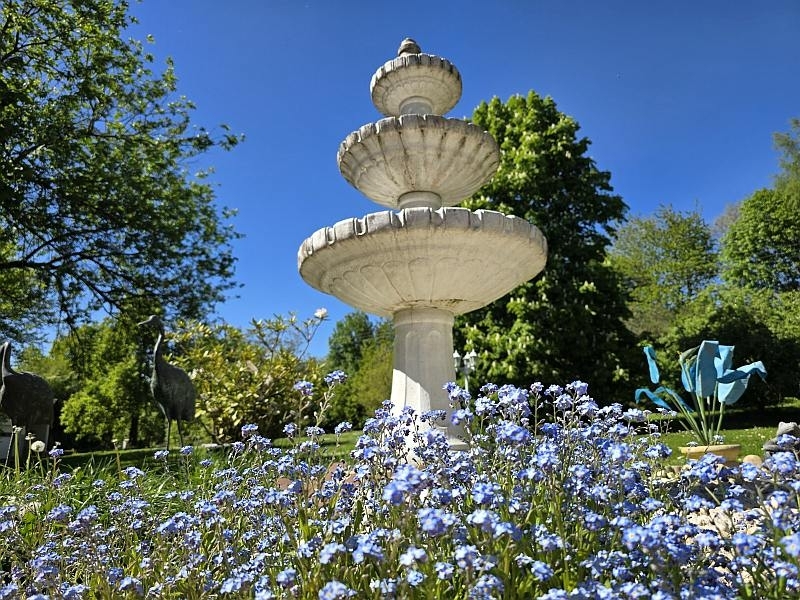 Impressionen Garten 1