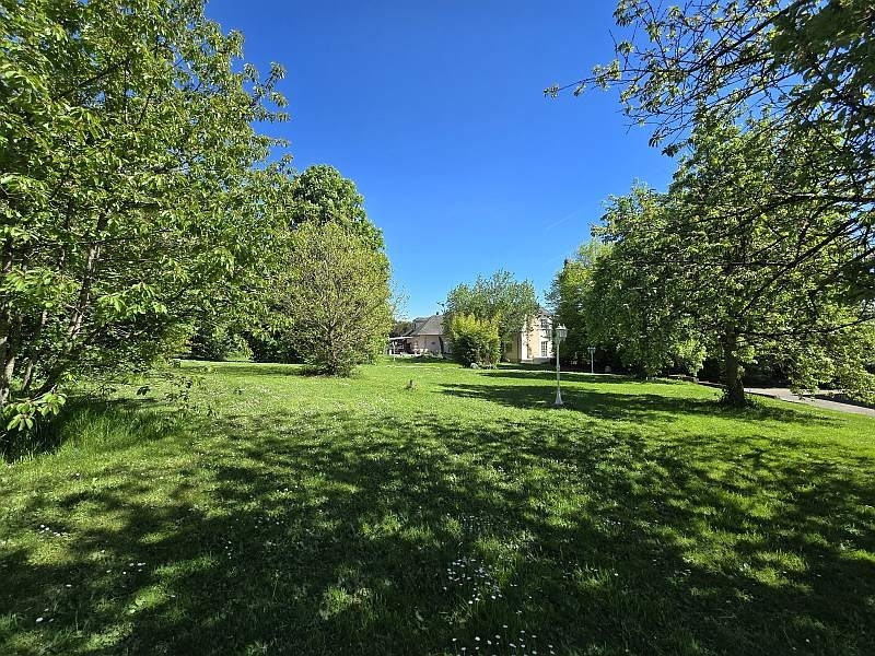 Impressionen Garten 7