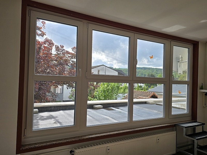Fenster Seiten