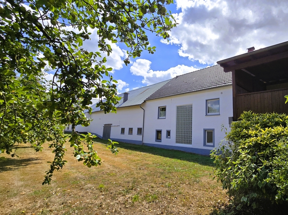 Rückseite Wohnhaus und Scheune 