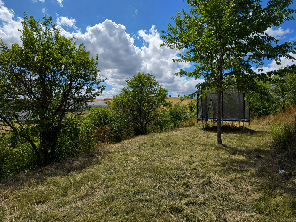 Naturnaher Garten mit Weitblick und Freizeitfläche
