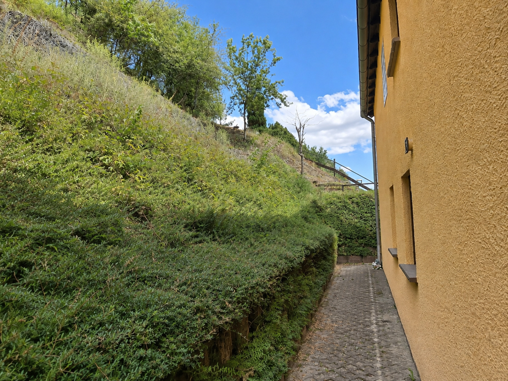Seitlicher Gartenweg