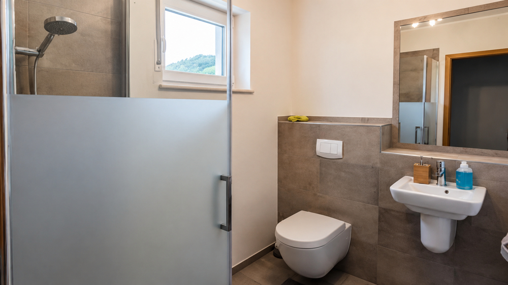 Modernes Gäste WC mit tageslicht und großzügiger Dusche im EG