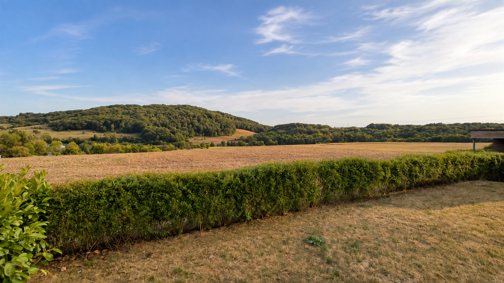 Landschafts- und Fernsicht