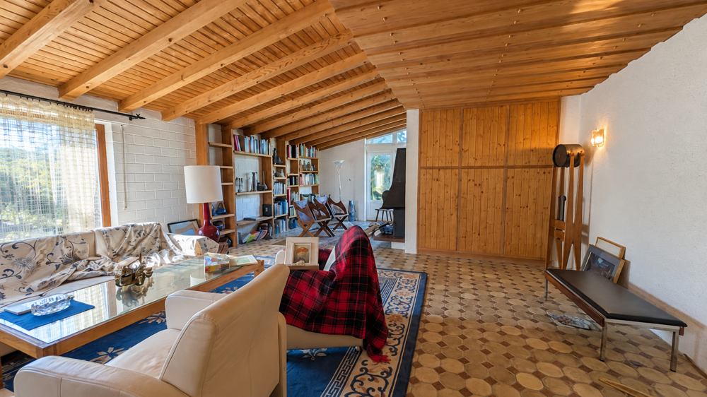 Weitläufiger Wohnbereich mit Kamin und Bibliothek