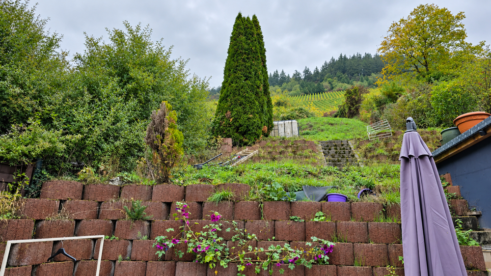 Grün im Blick – Weinbergkulisse direkt hinter dem Haus