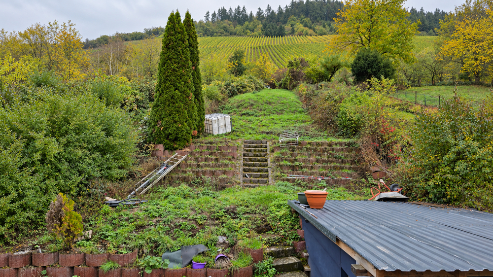 Ihr Garten am Hang – mit Blick auf die Weinberge