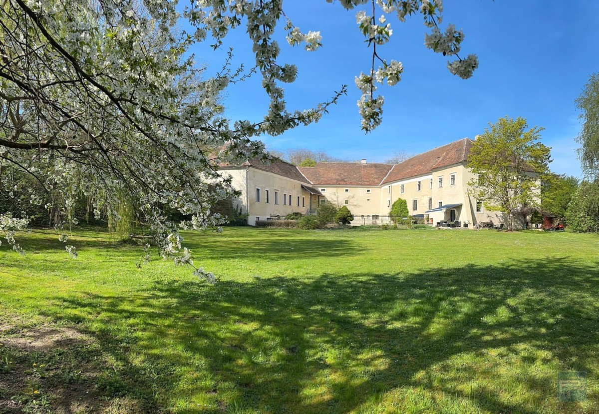 Schloss im Weinviertel