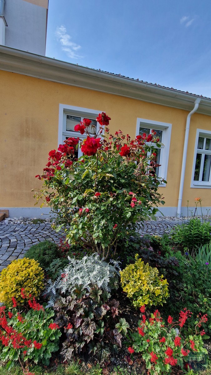 Der liebevoll angelegte Garten