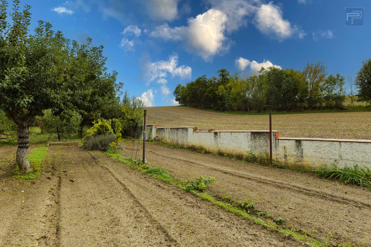 Oberer Garten / Obstgarten