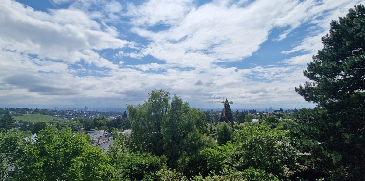 Wienblick