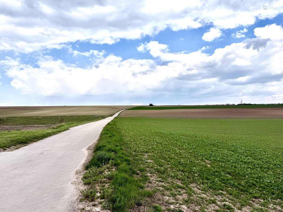 Aussicht vom Anwesen 