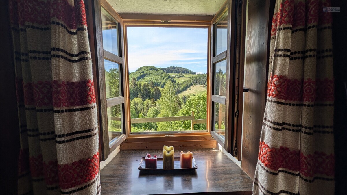 Ausblick
