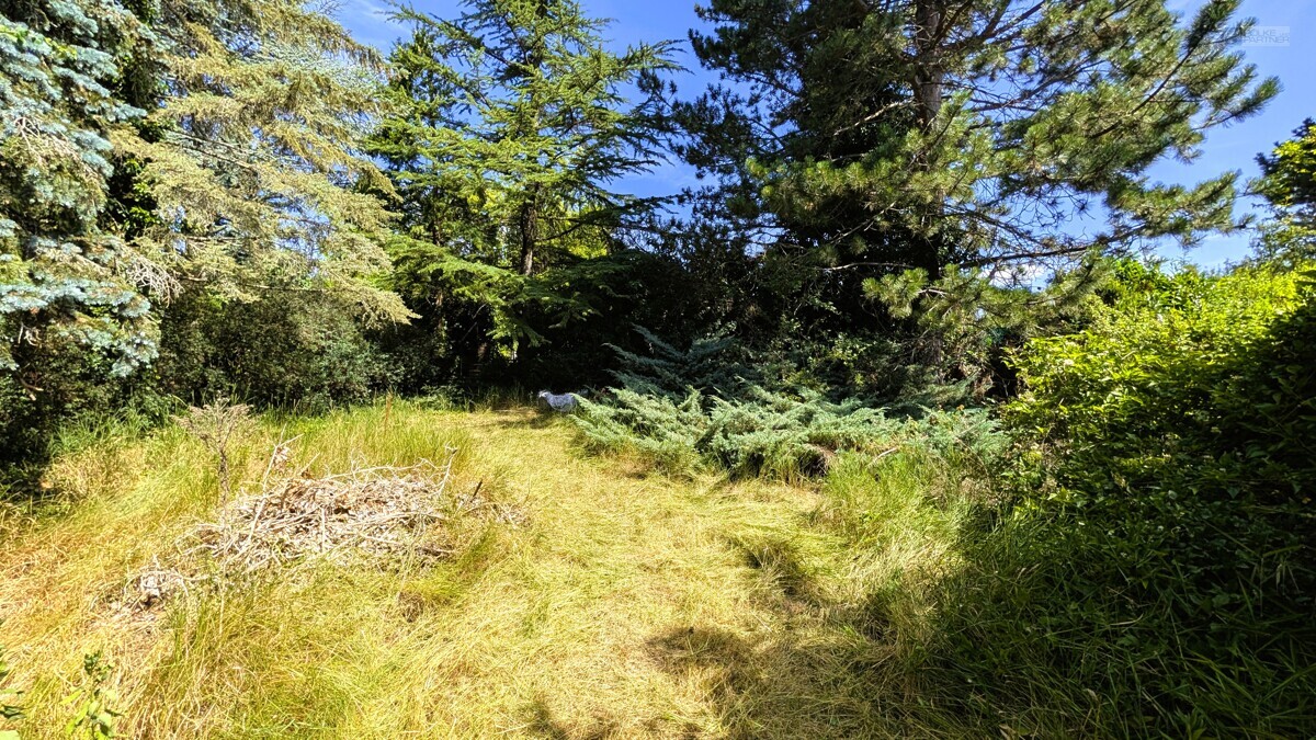 Gartenansicht