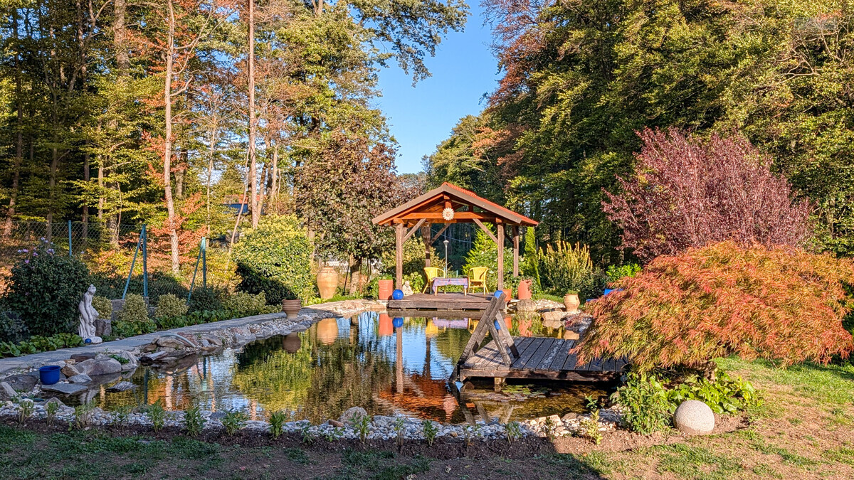 Schwimmteich/Garten