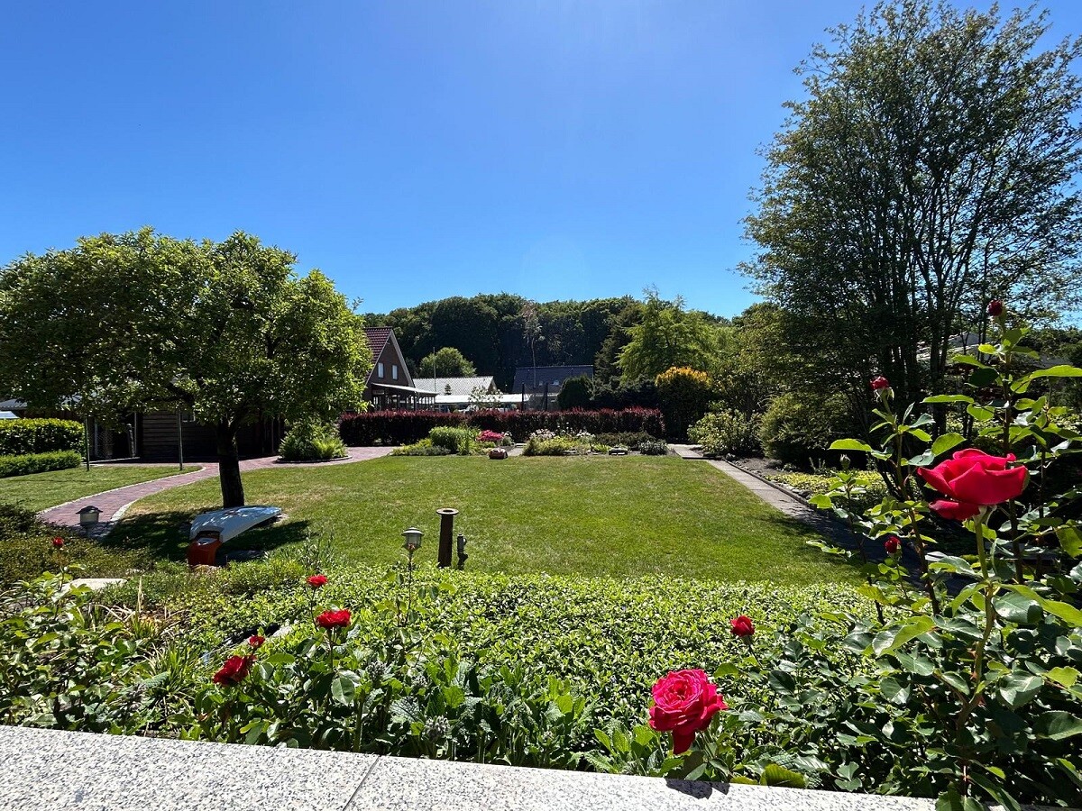 Blick in den Garten