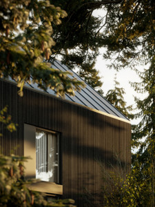 240_Haus am Wald_EXT_Detail02 Foto