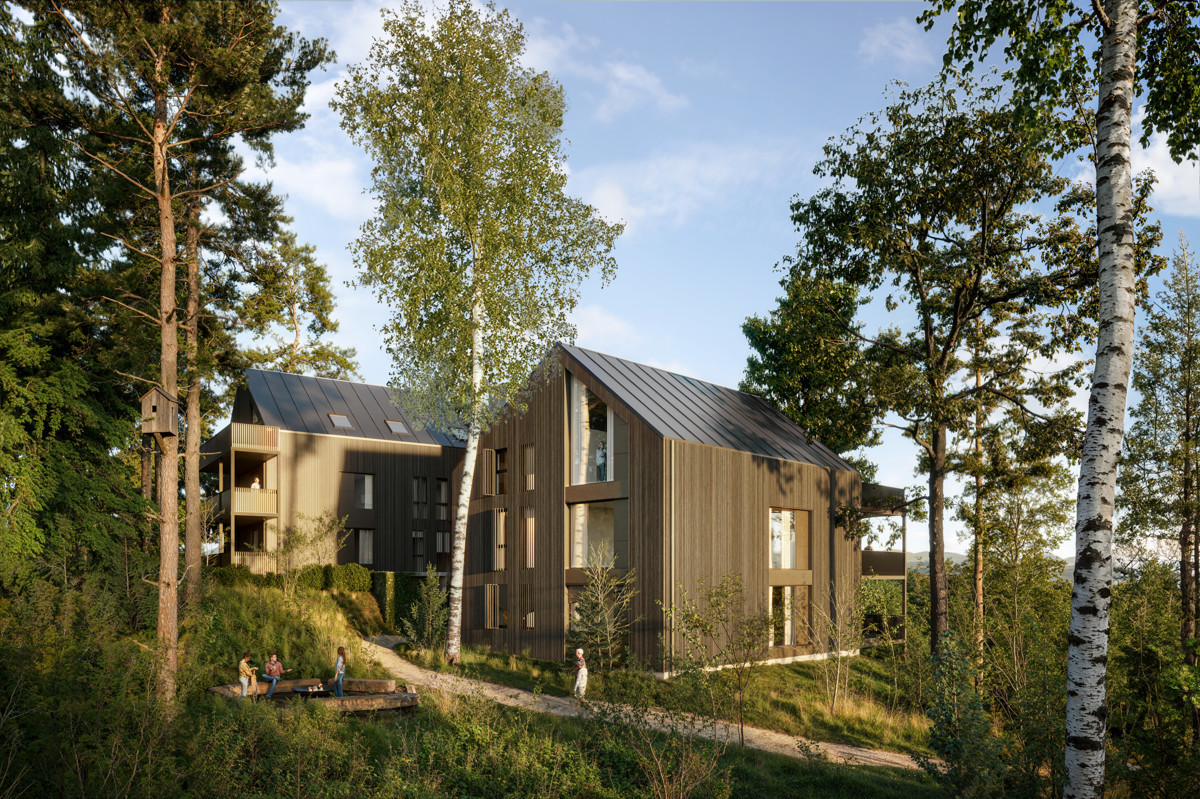 240_Hauser am Wald_EXT_Cam01_Forest_September2024Changes_bearb Foto