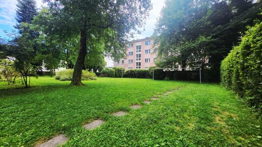 PHOTO-2025-08-22-13-13-01 Foto