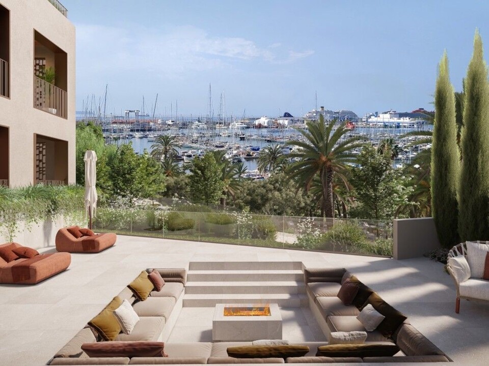 Terraza