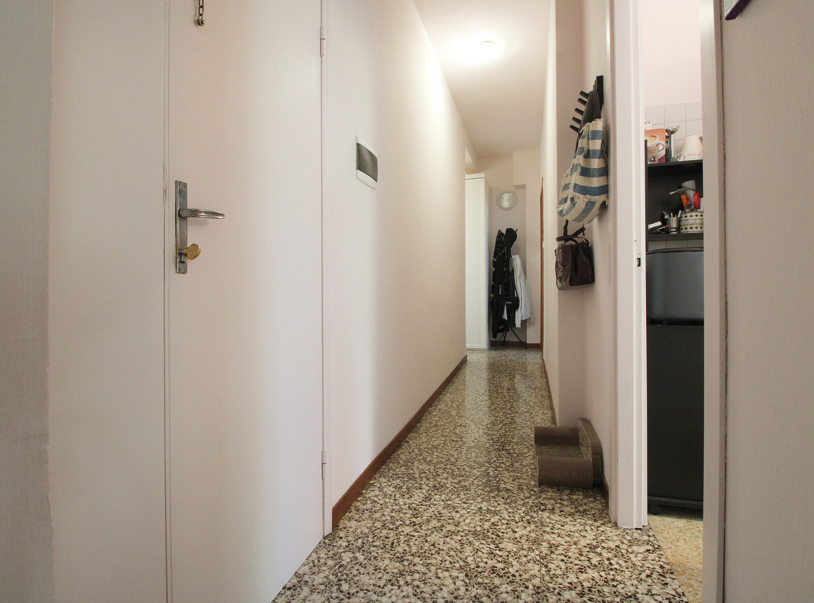 Ingresso