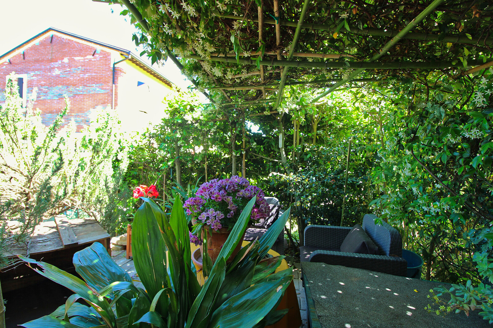 Giardino