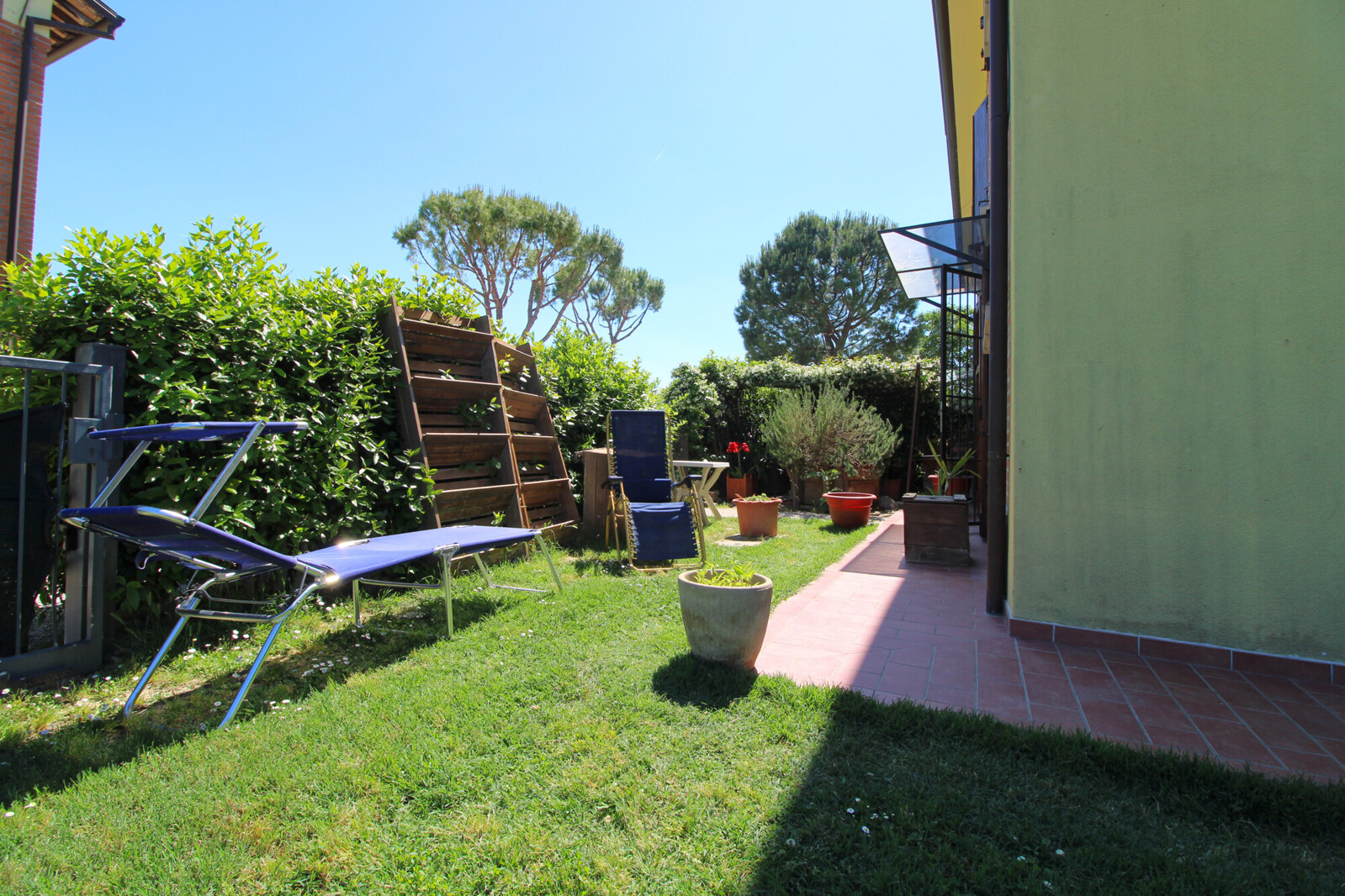 Giardino