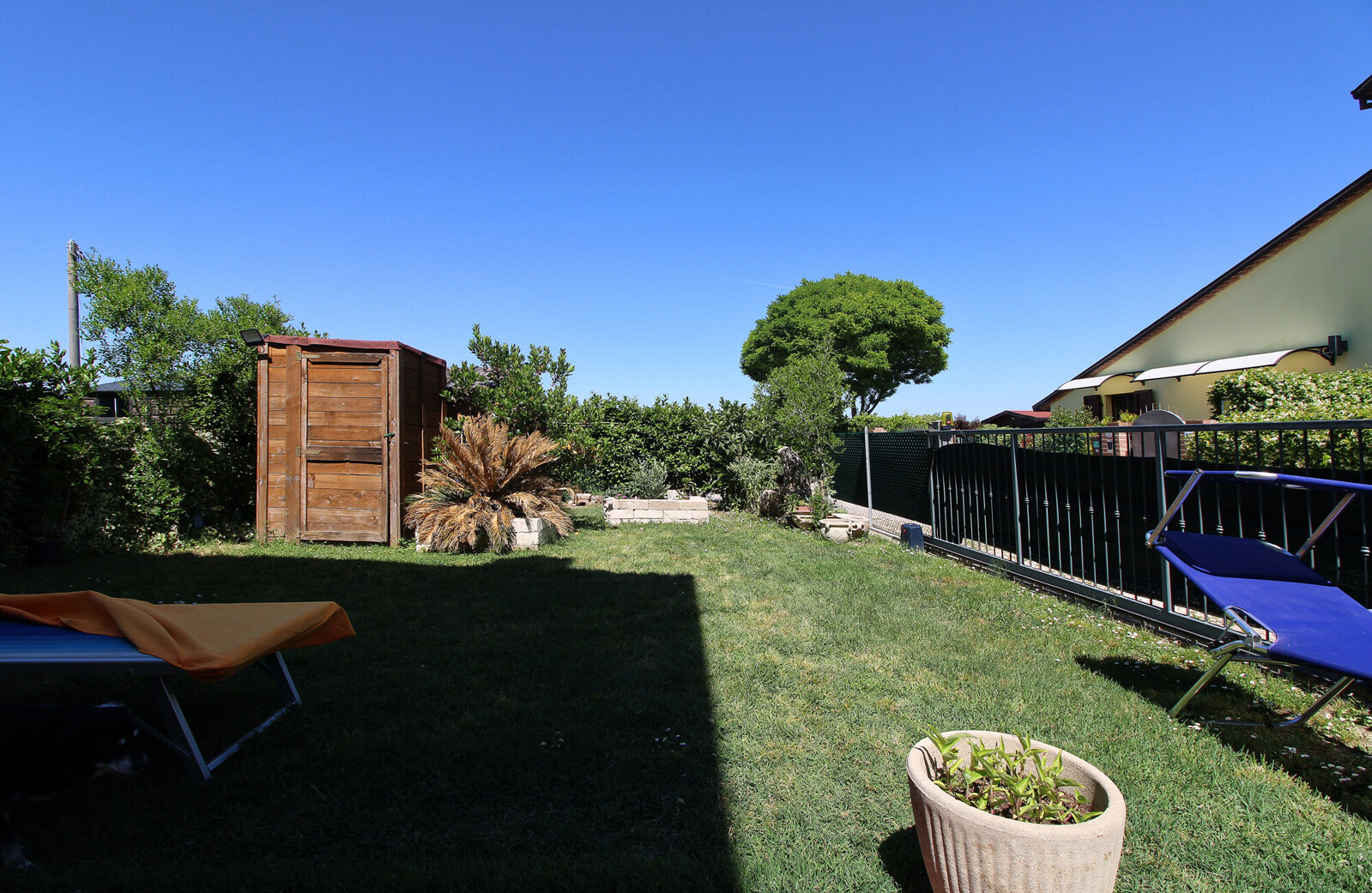 Giardino